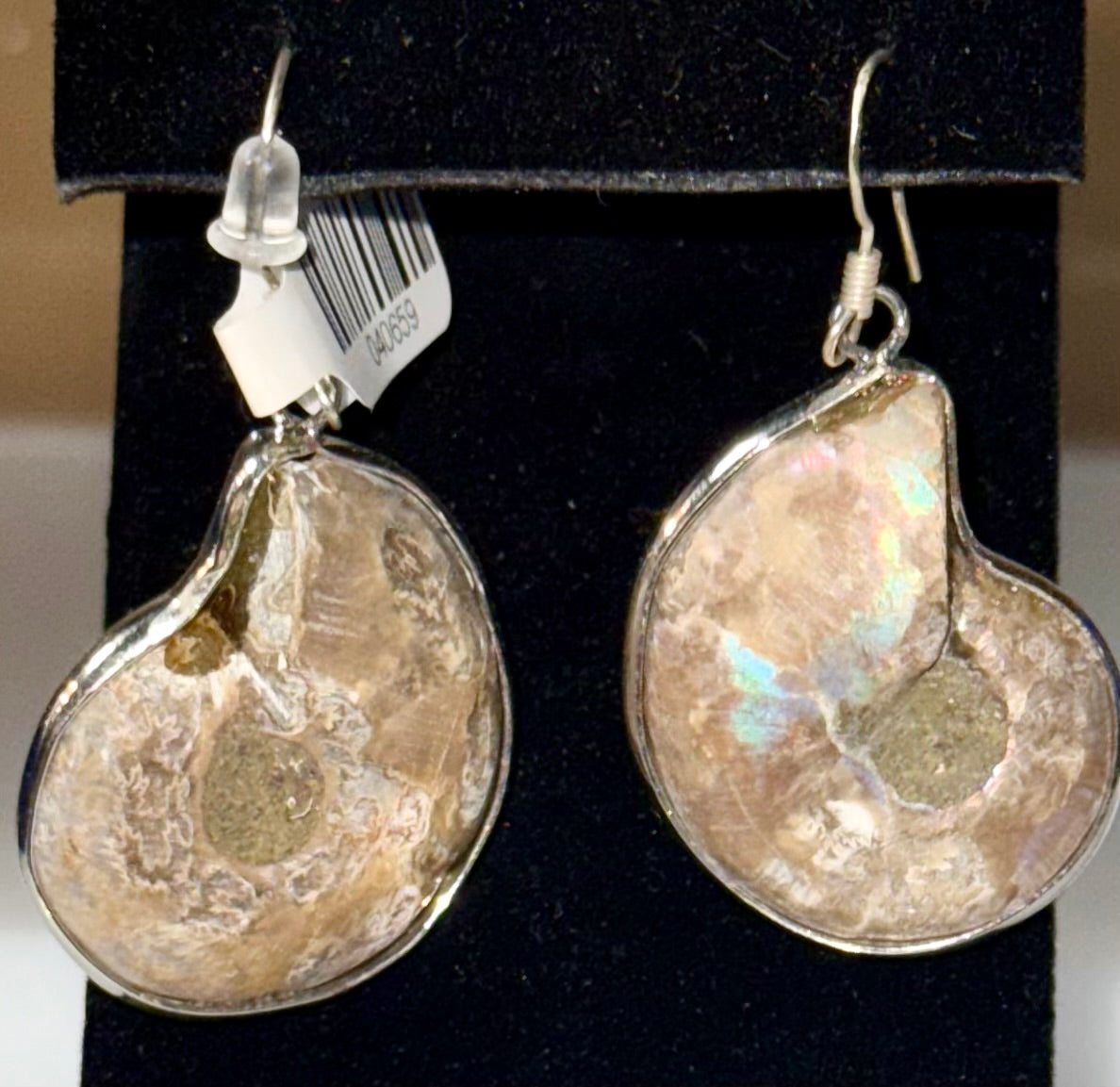 925 Sterling Ammonite Drop Earrings