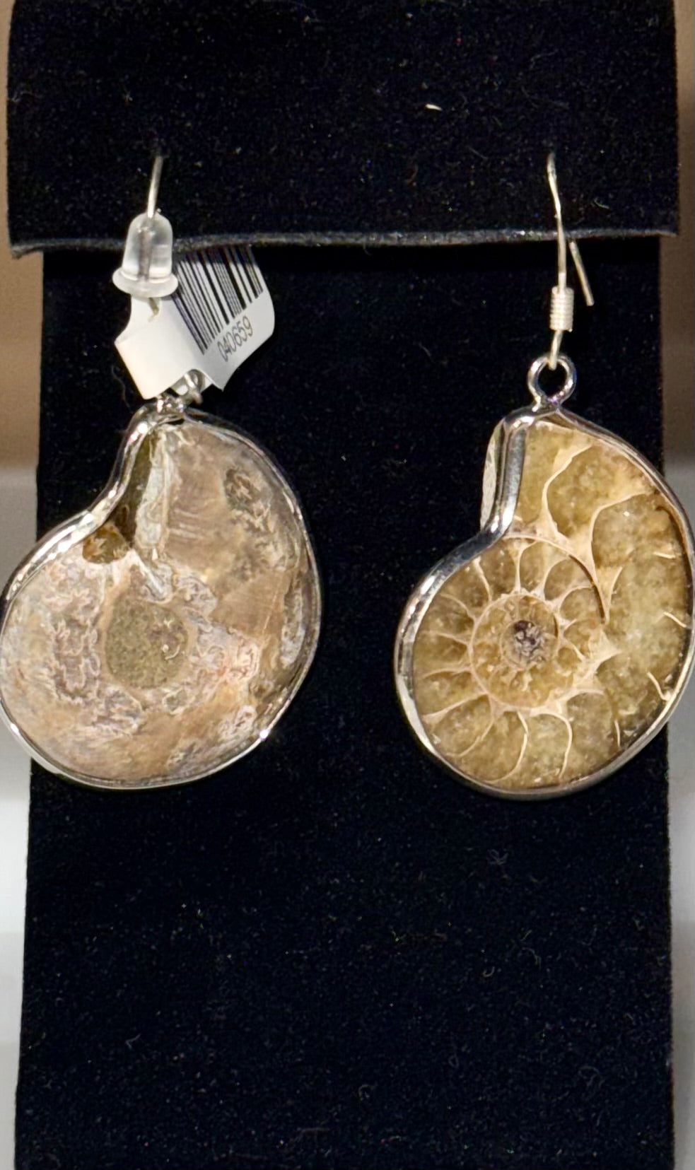 925 Sterling Ammonite Drop Earrings