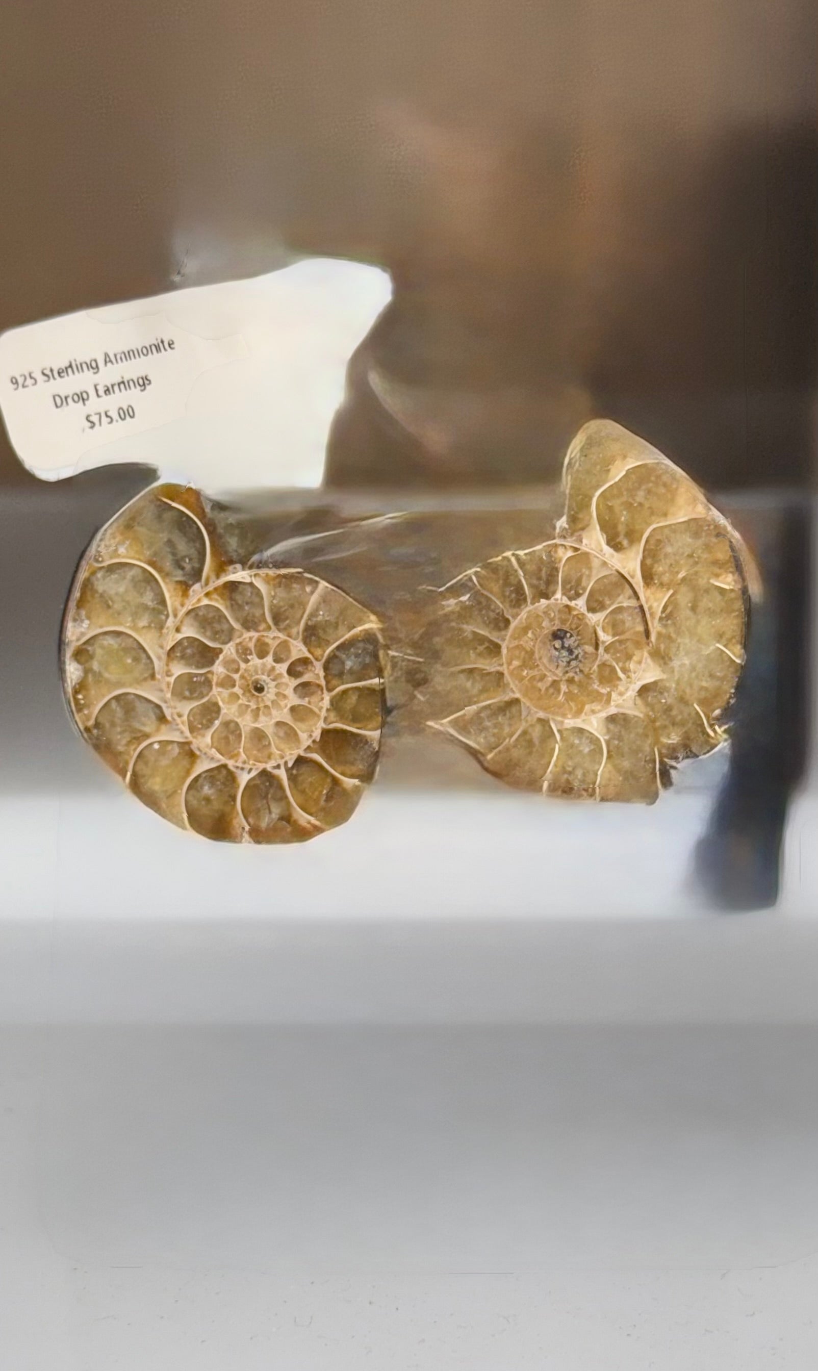 925 Sterling Ammonite Drop Earrings
