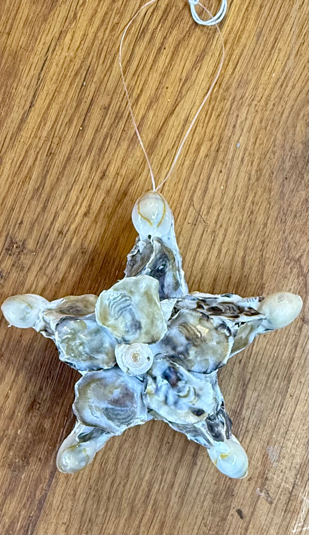 Oyster shell star