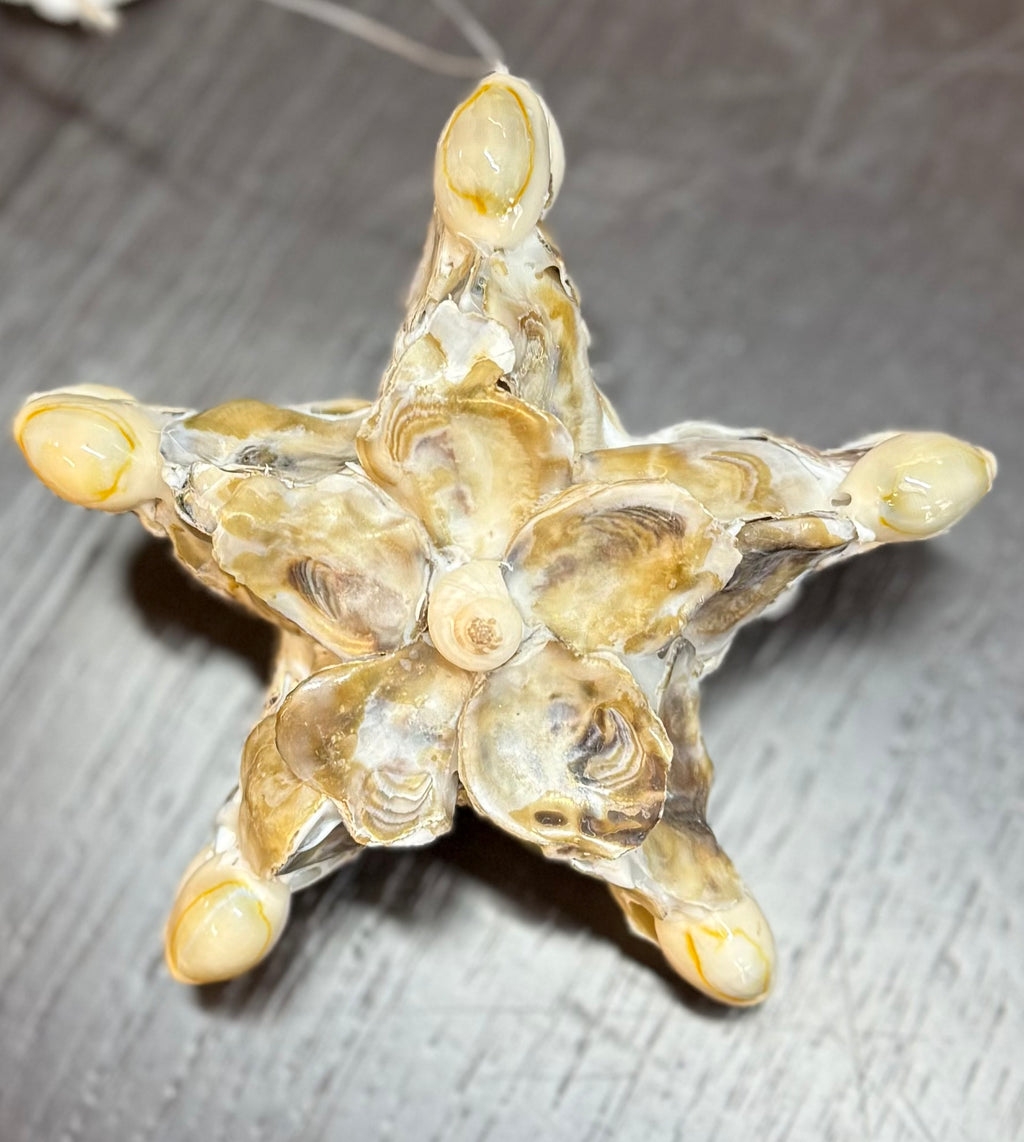 Oyster shell star