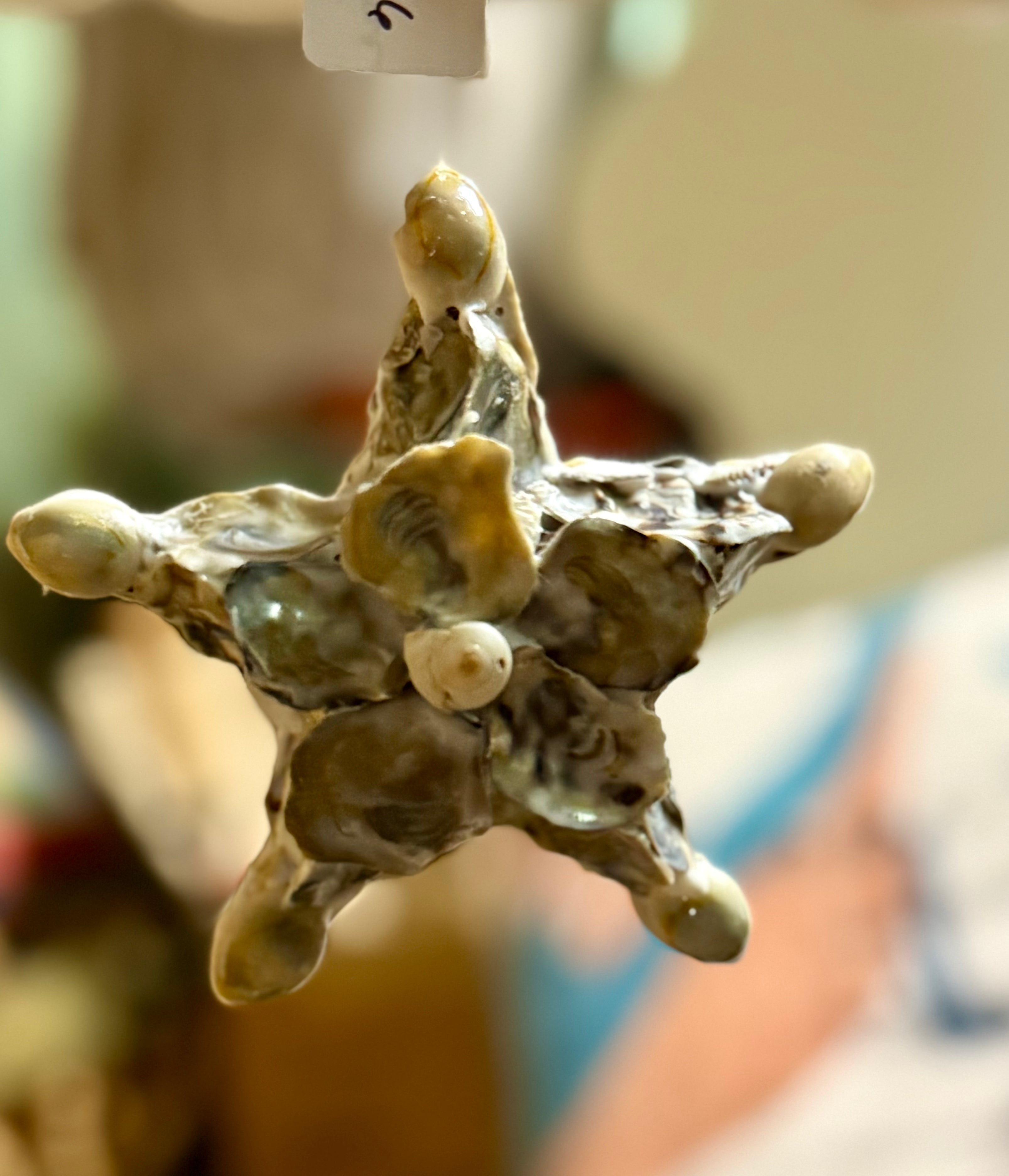 Oyster shell star